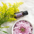doTERRA Patchouli 