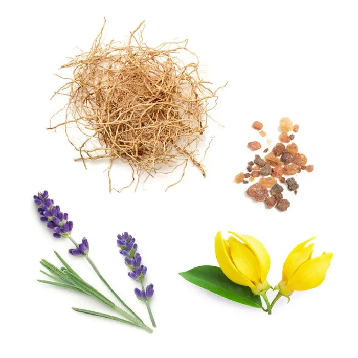 doTERRA Peace Touch 