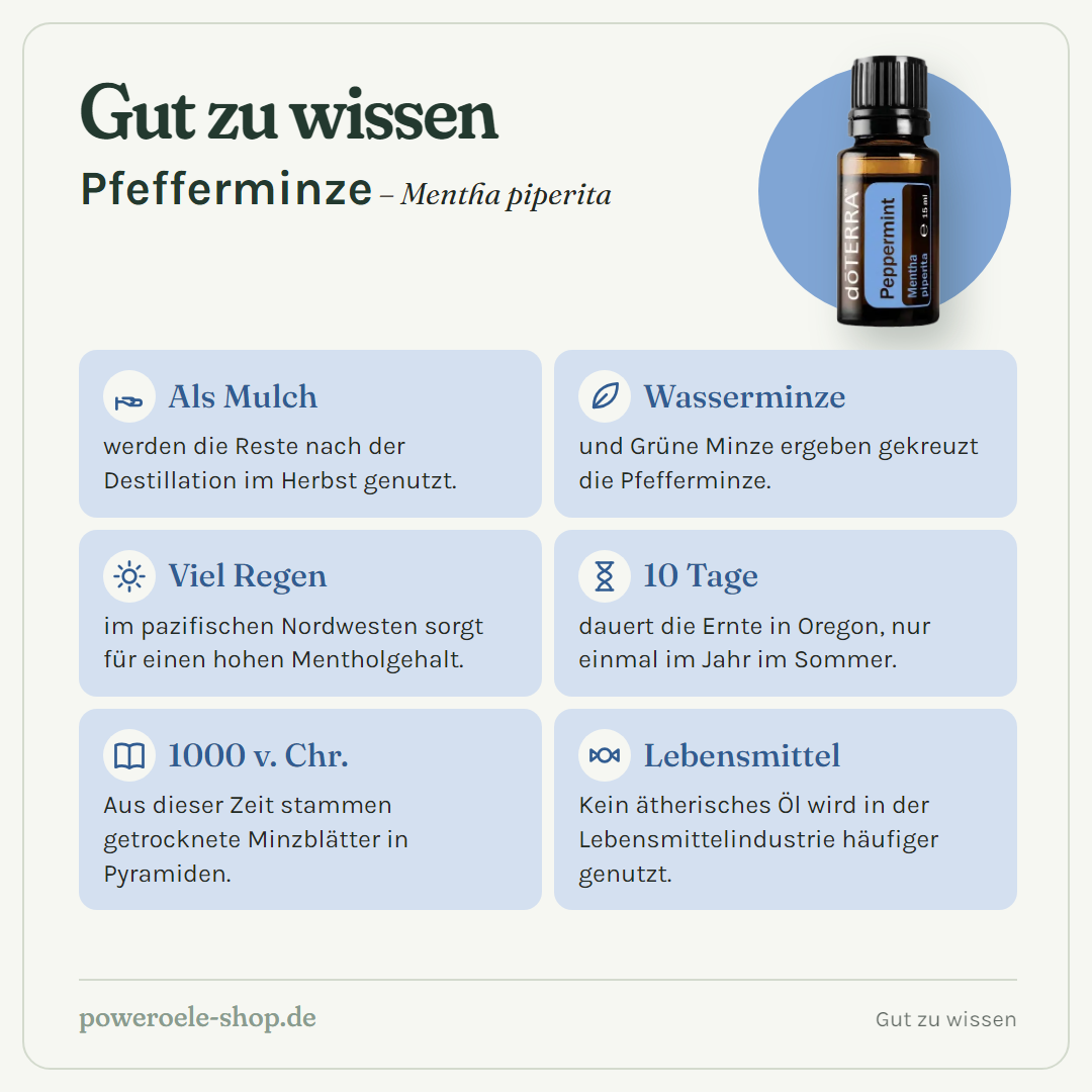 doTERRA Peppermint - Gut zu wissen