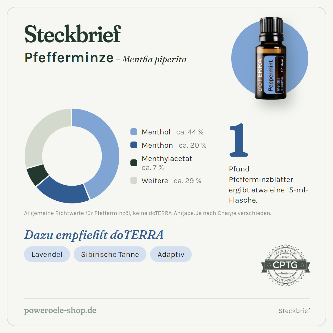 doTERRA Peppermint - Steckbrief
