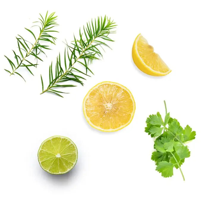 doTERRA Purify - Erfrischende Mischung 