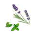 doTERRA Rescuer - Lindernde Mischung 