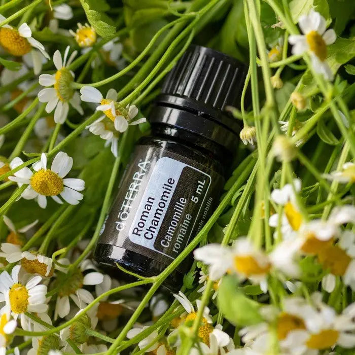 doTERRA Roman Chamomile 