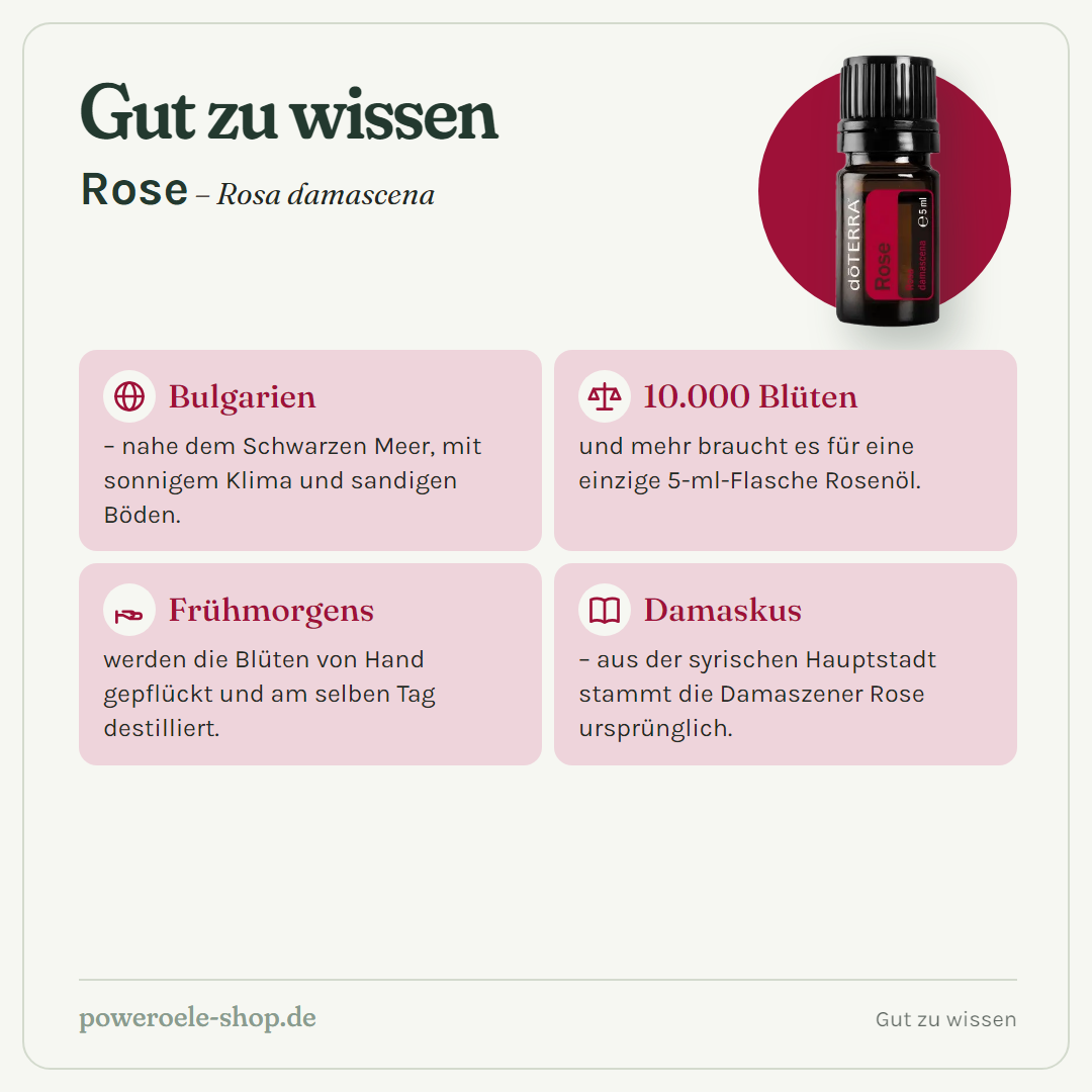 doTERRA Rose - Gut zu wissen