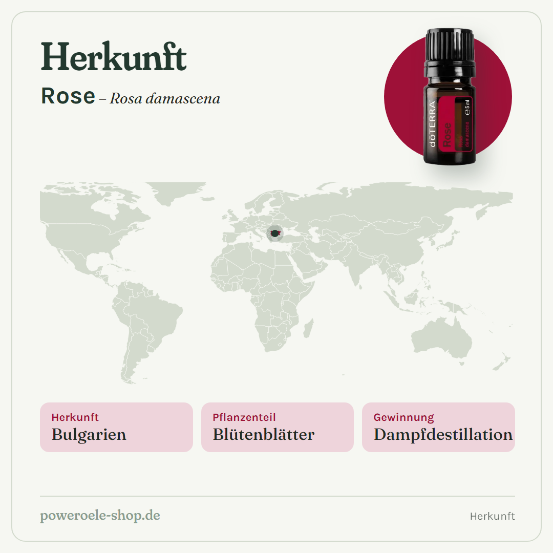 doTERRA Rose - Herkunft