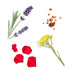 doTERRA Salubelle - Beauty Mischung 