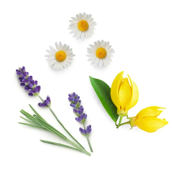 doTERRA Serenity - Erholungsmischung 