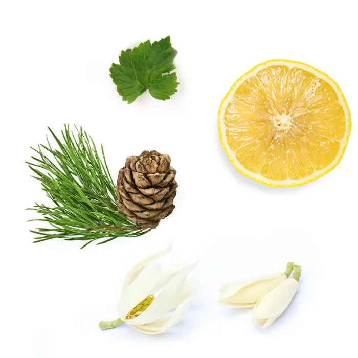 doTERRA Shinrin-Yoku Touch 