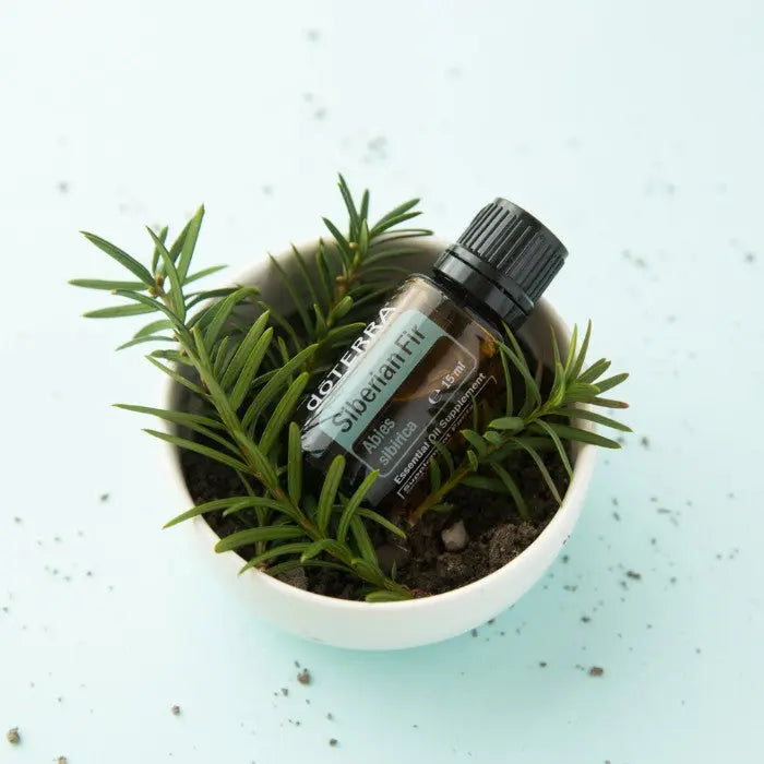 doTERRA Siberian Fir 