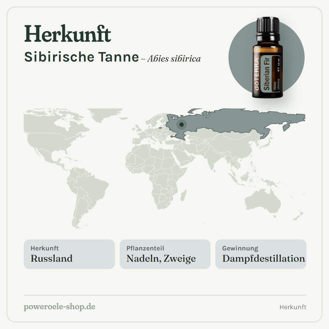 doTERRA Siberian Fir - Herkunft