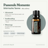 doTERRA Siberian Fir - Passende Momente