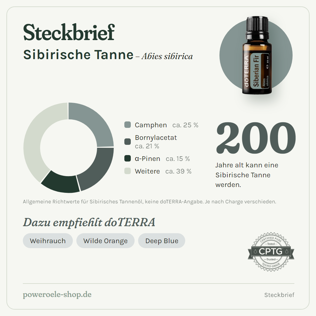 doTERRA Siberian Fir - Steckbrief