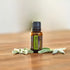 doTERRA Spanish Sage 