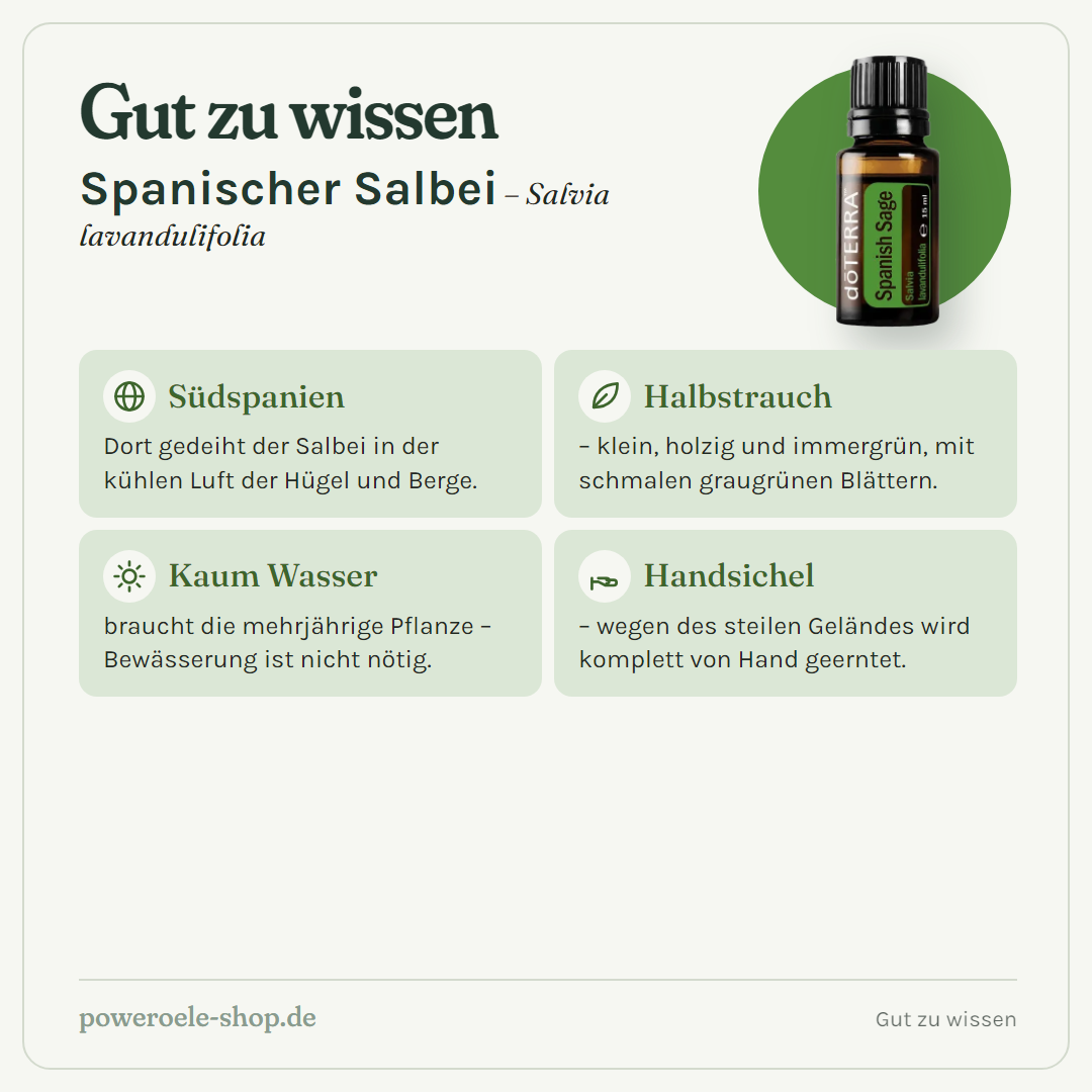 doTERRA Spanish Sage - Gut zu wissen