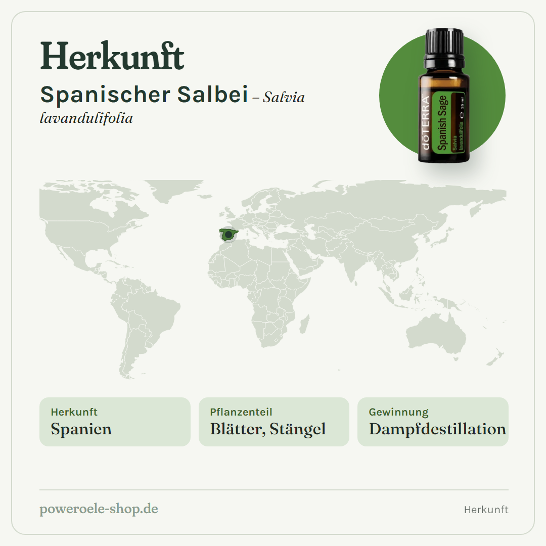 doTERRA Spanish Sage - Herkunft