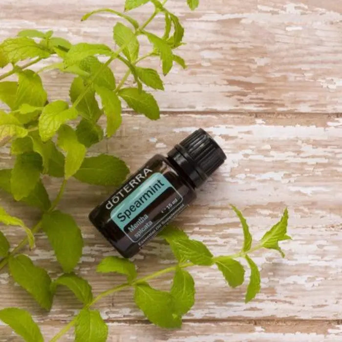 doTERRA Spearmint 