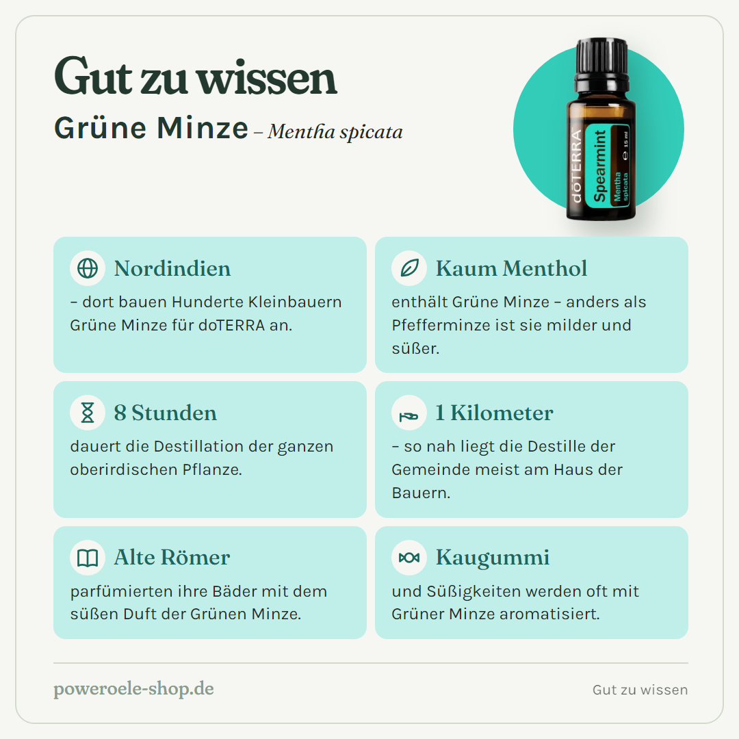 doTERRA Spearmint - Gut zu wissen