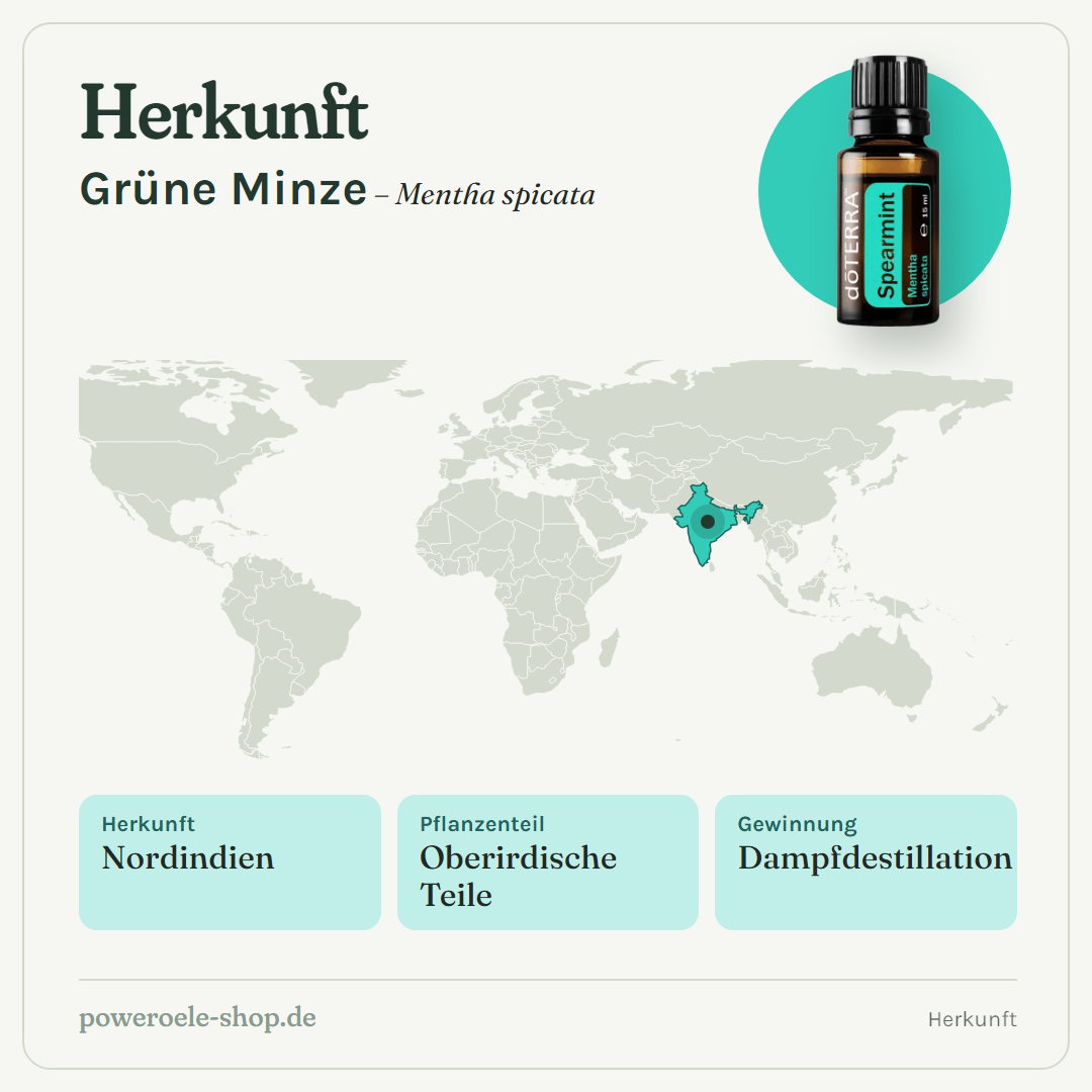 doTERRA Spearmint - Herkunft