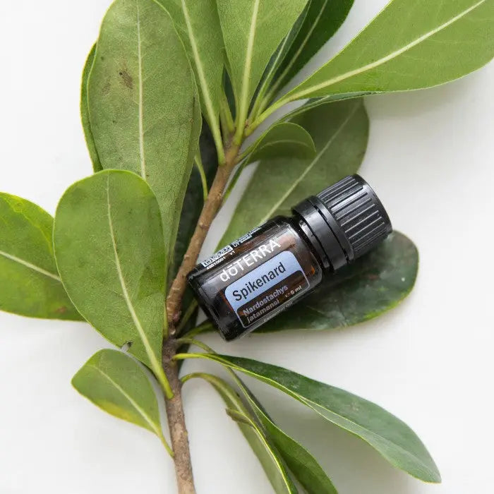 doTERRA Spikenard Indische Narde 