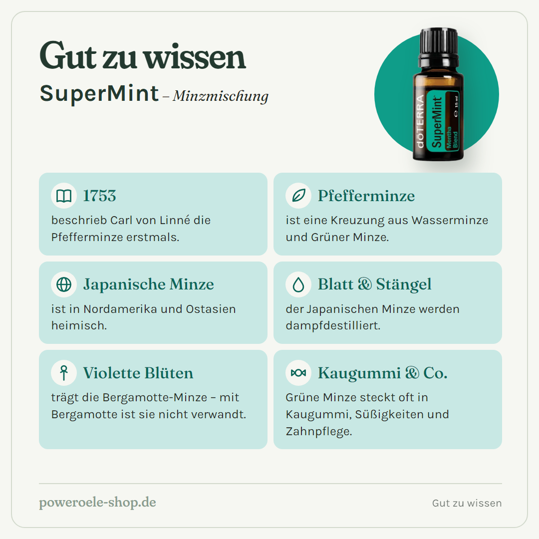 doTERRA Supermint - Minze-Mischung - Gut zu wissen