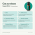 doTERRA Supermint - Minze-Mischung - Gut zu wissen