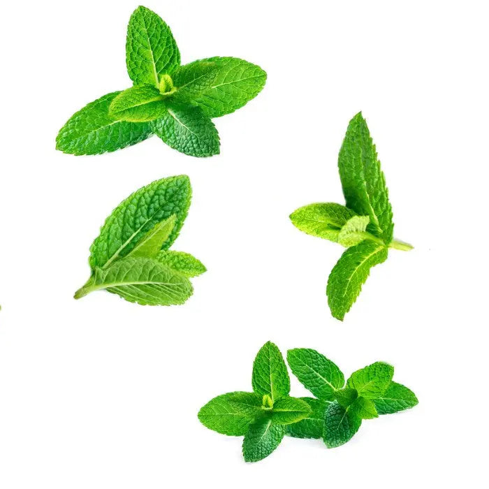doTERRA Supermint Touch 