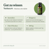 doTERRA Tea Tree Teebaumöl - Gut zu wissen
