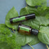 doTERRA Tea Tree Teebaumöl 