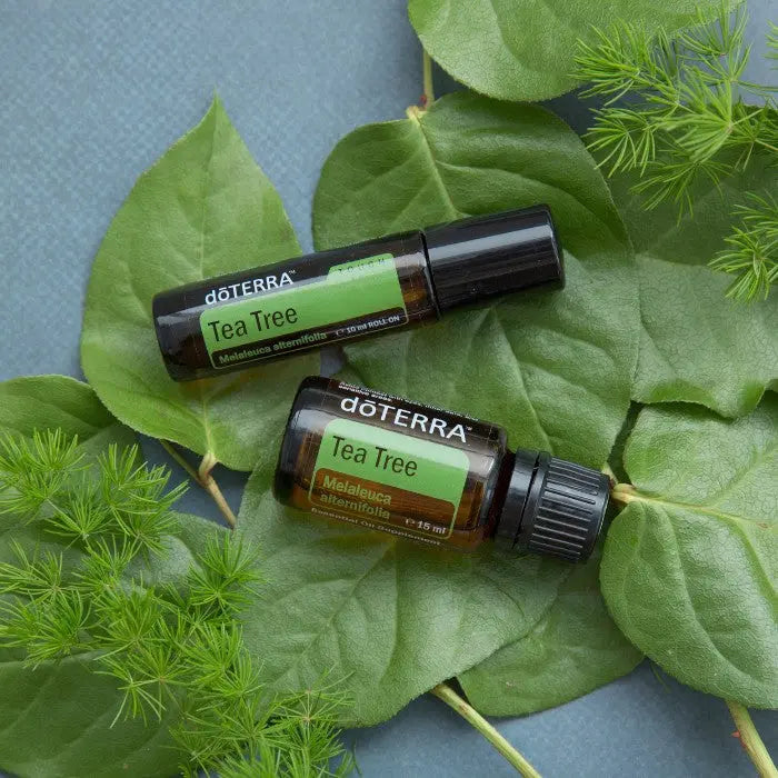 doTERRA Tea Tree Touch 