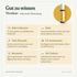 doTERRA Thinker - Gut zu wissen