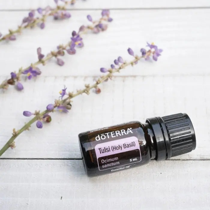 doTERRA Tulsi Heiliges Basilikum 