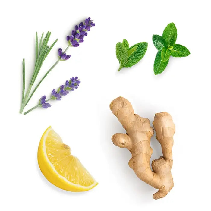doTERRA VMG+ Nährstoffkomplex 