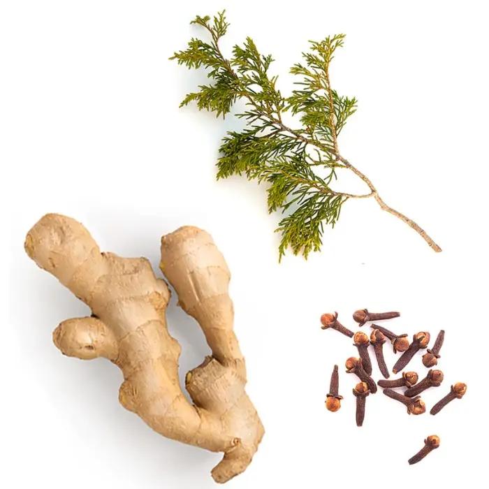 doTERRA Vanilla Chai Gewürzmischung