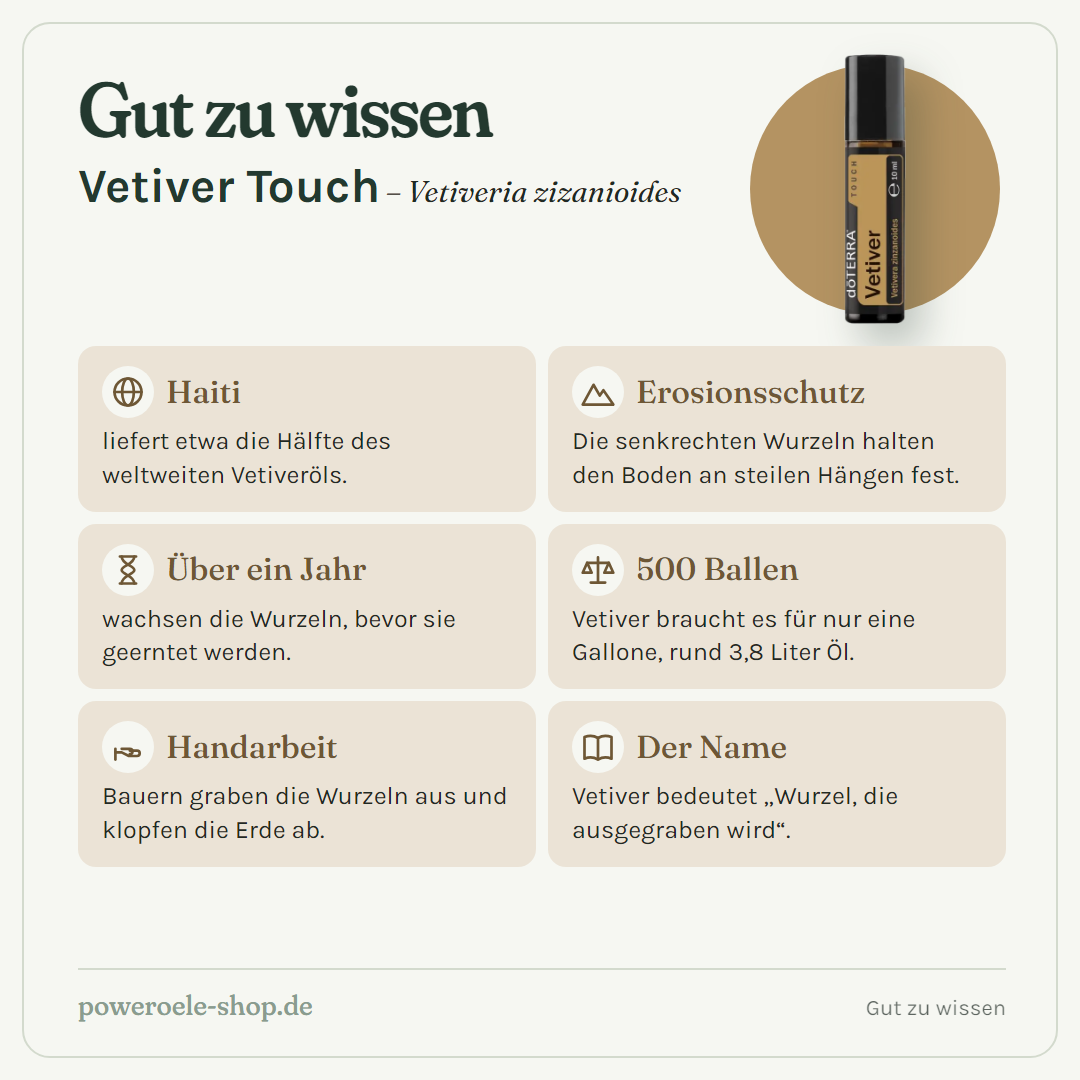 doTERRA Vetiver Touch - Gut zu wissen