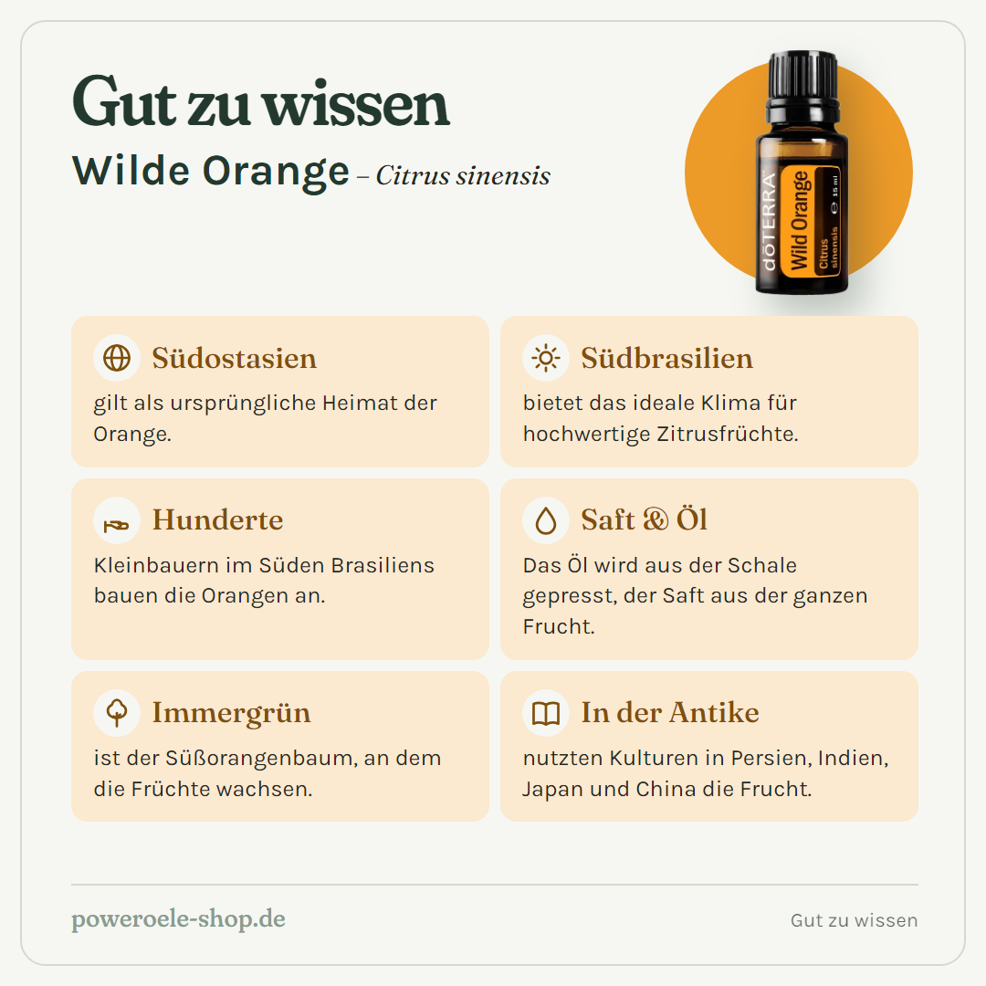 doTERRA Wild Orange - Gut zu wissen