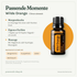 doTERRA Wild Orange - Passende Momente