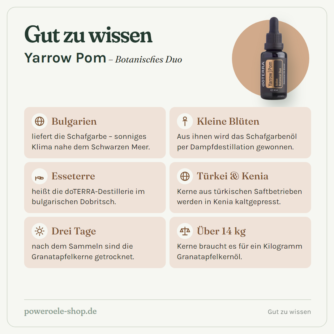 doTERRA Yarrow Pom - Gut zu wissen