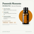 doTERRA Zendocrine - Mischung für den Neuanfang - Passende Momente