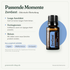 doTERRA Zengest - Unterstützende Mischung - Passende Momente