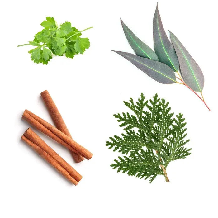 doTERRA abode - Erfrischende Mischung 