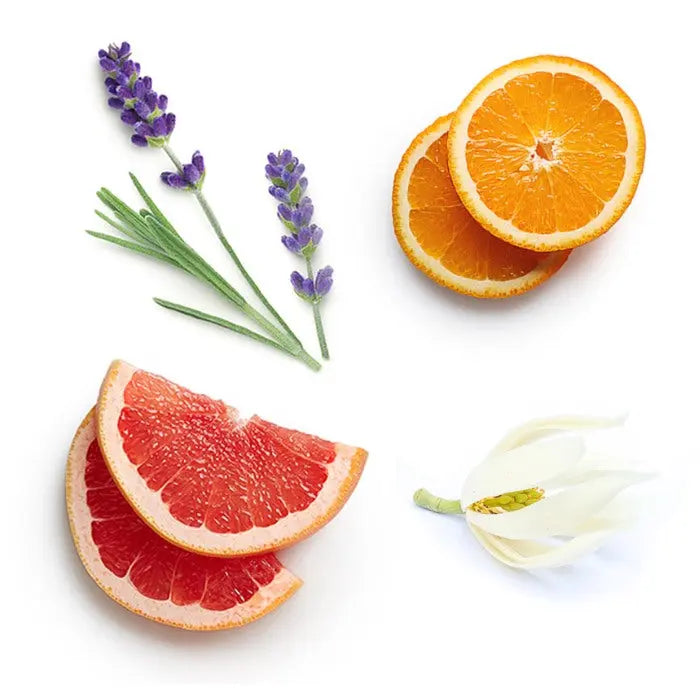 doTERRA abōde Schäumendes Handseifenkonzentrat 