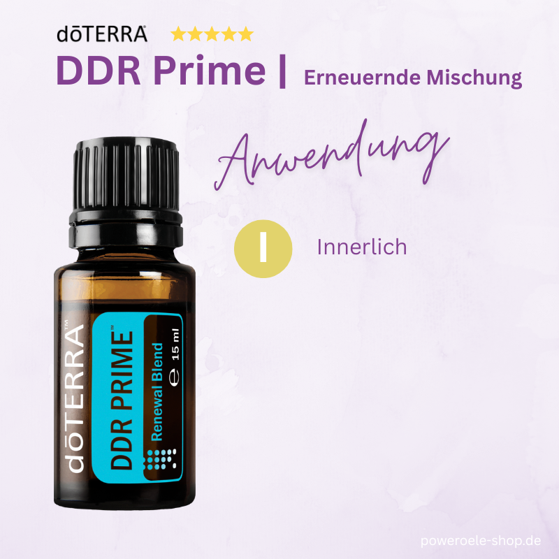 DDR Prime Anwendungsmöglichkeit