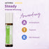 doTERRA Steady Anwendung