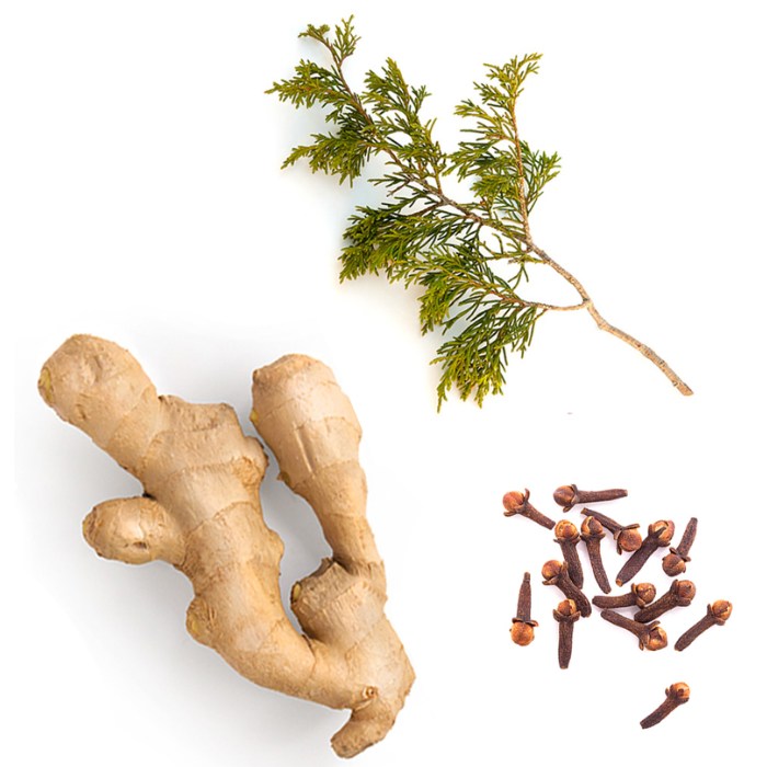 doTERRA Vanilla Chai Gewürzmischung