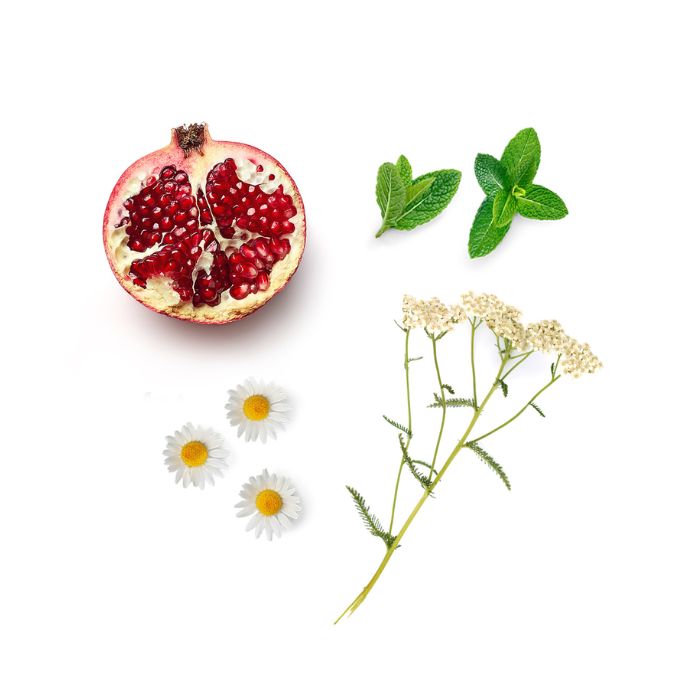 doTERRA Yarrow Pom Körpererneuerungsserum Inhalt
