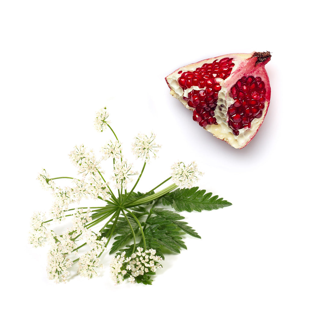 doTERRA Yarrow|Pom Revitalisierende Augenmaske – Bild 3