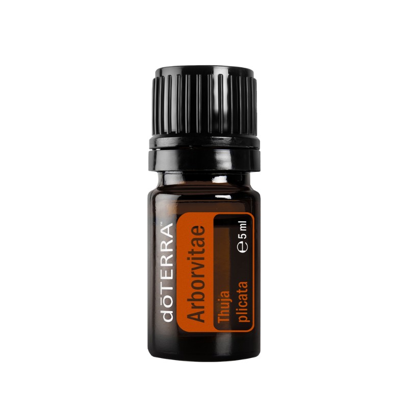 doTERRA Arborvitae - Lebensbaum