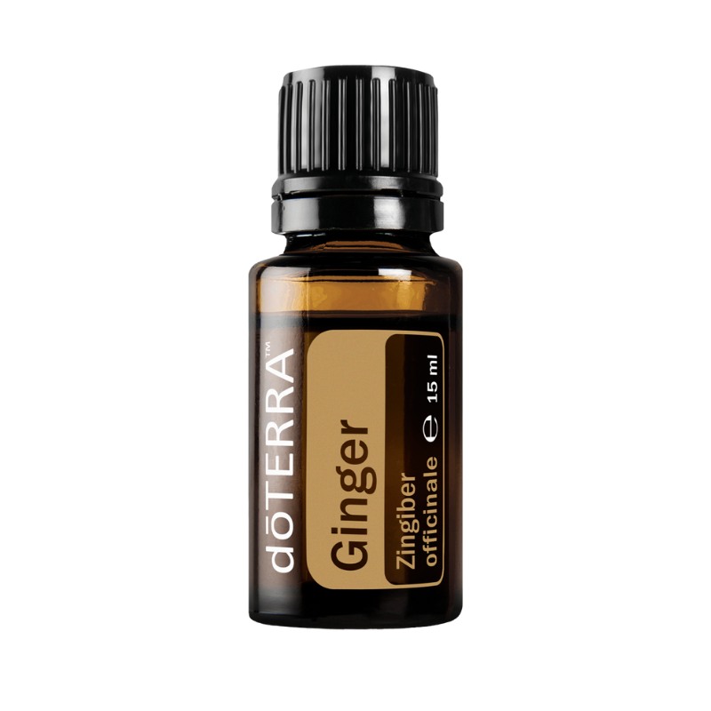 doTERRA Ginger (Ingwer) 