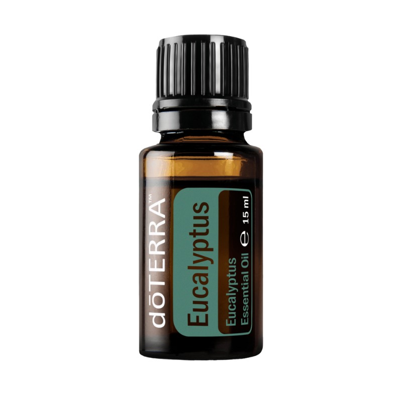 doTERRA Eucalyptus (Eukalyptus) 